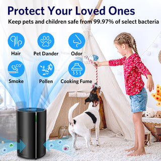 Air Purifier for Home AP-250A