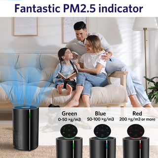 Air Purifier for Home AP-250A